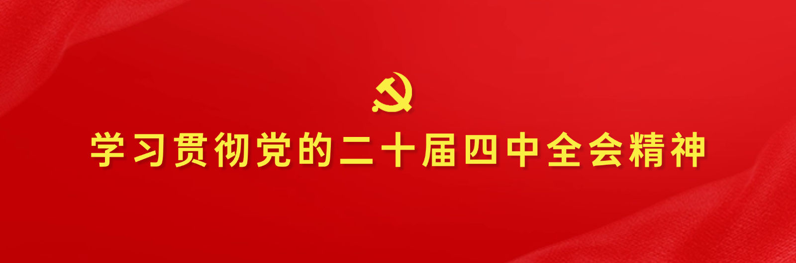 学习贯彻党的二十届四中全会精神